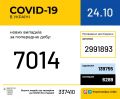 21 491   COVID-19    : 363   