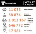 68 447   COVID-19    : 513   