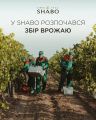 �� ������������� SHABO ��������� ��� ������ 2026 ����